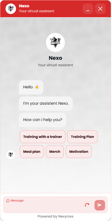 Fitness Chatbot